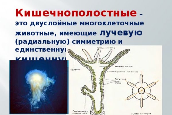 Официальный сайт даркнета