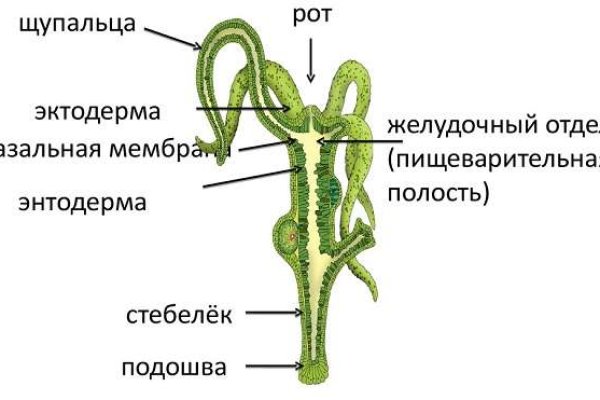 Кракен ссылка тор браузер