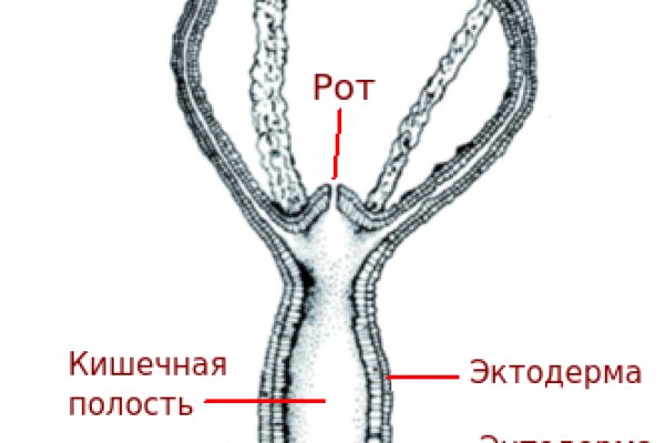 Кракен ссылку где